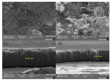 SEM images of TiO2 nanotube formed at 60 V, 10A, 15 hr in ethylene glycol + 0.2 Vol% NH4F + 2 vol% H2O, (a) front part, (b) back part, (c) central part thickness, (d) edge part thickness