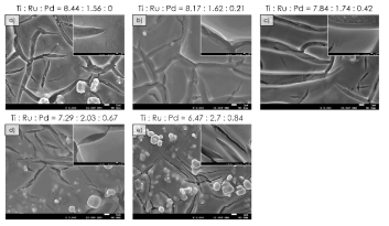 Pd 함량에 따른 Ru:Pd:Ti의 atomic ratio 및 SEM image, a) 0%, b) 2.5%, c) 5%, d) 7.5%, e) 10%