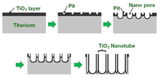 아노다이징을 통한 TiO2 nanotube 생성 과정