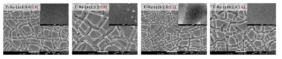 La 함량에 따른 Ti-Ru-La계 전극의 표면구조 SEM image