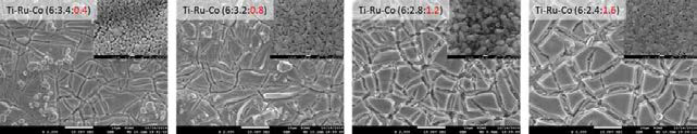 Co 함량에 따른 Ti-Ru-Co계 전극의 표면구조 SEM image