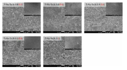 Ta 함량에 따른 Ti-Ru-Ta계 전극의 표면구조 SEM image