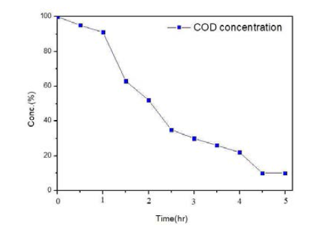 COD 처리효율