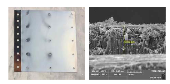 (좌) TiO2 nanotube cathode (우) SEM을 통한 TiO2 nanotube 표면 사진