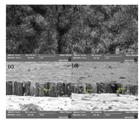 SEM images of TiO2 nanotube formed at 60 V, 10A, 15 hr in ethylene glycol + 0.2 Vol% NH4F + 2 vol% H2O, (a) front part (b) back part (c) front thickness (d) back part thickness