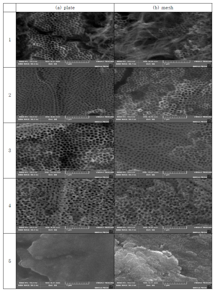 SEM images of TiO2 nanotube surface formed at 60 V, 10A, 15 hr in ethylene glycol + 0.2 Vol% NH4F + 2 vol% H2O by 5 times repeated use with Pt cathode (a) plate or mesh (b)