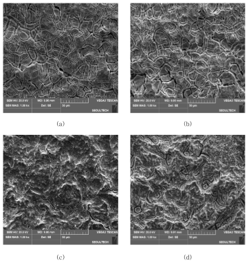 50% 열처리 온도에 따른 IrO2 + 50% TaO5 / Ti 전극의 SEM 분석결과 (a) 300℃ (b) 350℃ (c) 400℃ (d) 500℃
