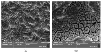 500℃로 소성한 50% IrO2+ 50% SnO2 / Ti 전극의 SEM 분석 결과 (a) 1000배 (b) 5000배