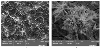 500℃에서 소성한 50% IrO2 + 50% WO3 / Ti 전극의 SEM 분석 결과 (a) 1000배 (b) 5000배