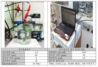 MMO 전극 효율 및 내구성시험