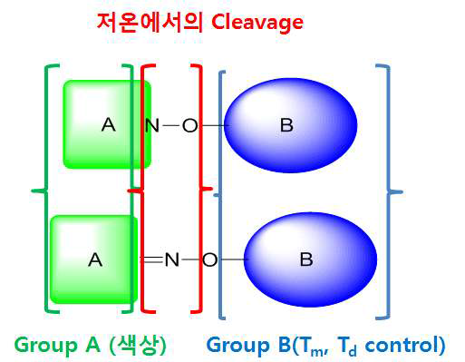 A. B Group의 주요 특성