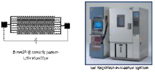 b-HAST Test