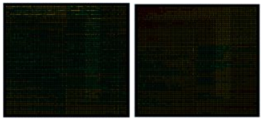 Chip accuracy 측정 좌) Mold 이전 우) Mold 이후