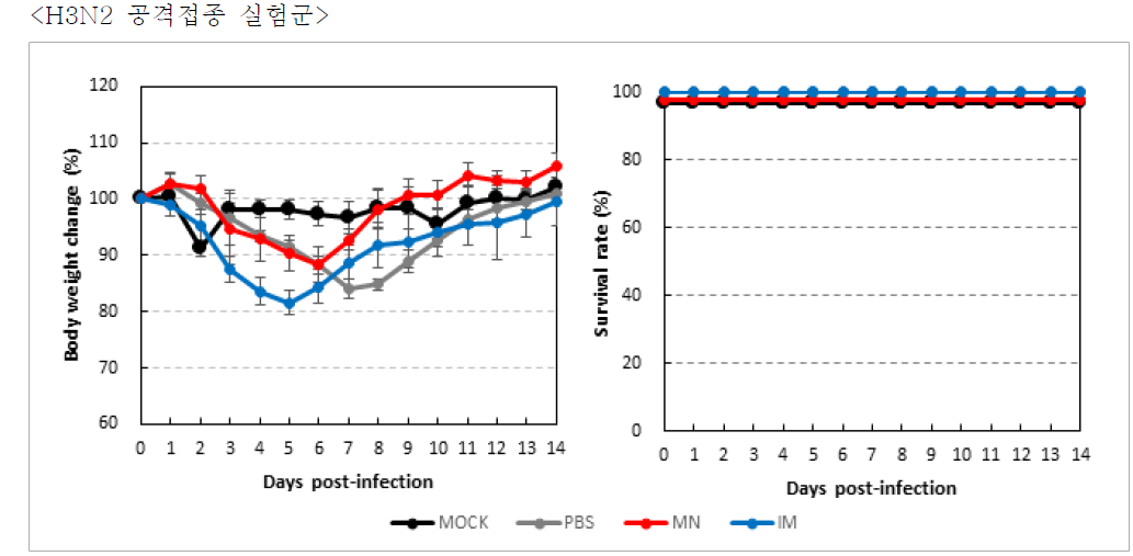 체중 및 생존율 변화 분석 (H3N2 공격접종 실험군)