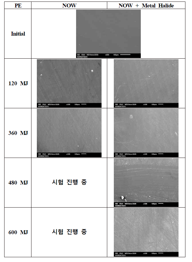 SEM images of the PE from NOW and NOW + Metal Halide