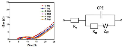 (좌) 전기화학 센서의 시간에 다른 교류 임피던스 스펙트럼, (우) 전기화학 센서의 등가회로
