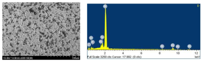 제조된 시료의 SEM 이미지 및 EDX 분석 특성