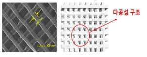 250 nm 선폭을 갖는 패턴의 SEM image와 다공성 구조물 모식도