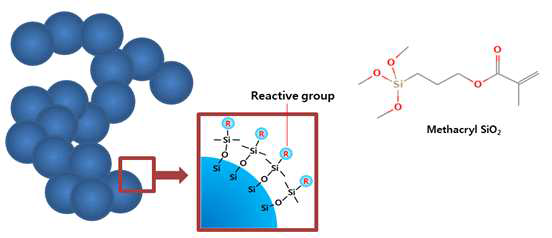 Reactive silica의 구조