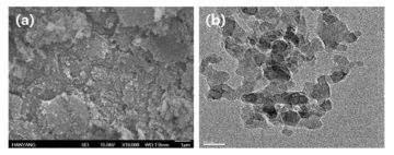 Methacryl SiO2의 (a) SEM image 및 (b) TEM image