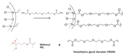 Reactive SiO2와 TEGDA를 이용한 curing mechanism