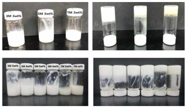 Methacryl silica를 적용한 반고체 전해질