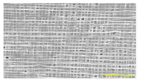 250 nm 선폭의 Pt 패턴 적층 구조물 FE-SEM 사진