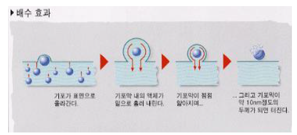 배수 효과 메커니즘