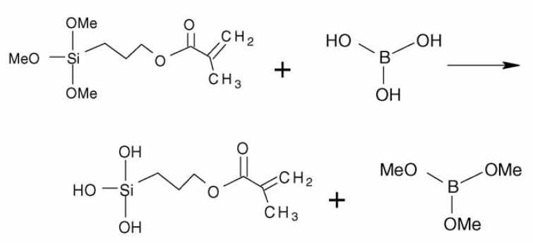 MPS와 boric acid의 리간드 교환반응