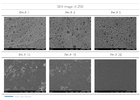 POSS를 투입하여 제조한 코팅 필름의 SEM image