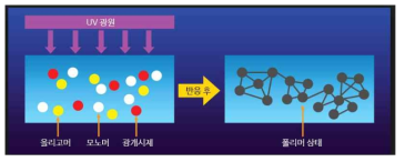 광경화형 코팅제의 도막형성