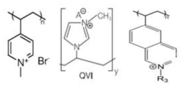 본 연구 적용 예정 heterocyclic ammonium계 (vinyl pyridinium, vinylimidazolium 및 vinyl quinolinum) 모노머 구조