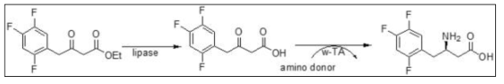 Ester로부터 lipase와 ω-TA의 공역반응을 통한 광학활성 sitagliptin 전구체 베타-아미노산의 생산 반응 scheme (특허 등록번호:101565439)