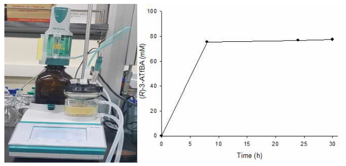 반응기를 이용한 100 mM 기질 반응. 반응조건: 50 mL reaction, 100 mM substrate-ethyl ester, 200 mM (S)-α-MBA, 15% (v/v) DMSO, 200 mM Tris-HCl buffer (pH 7.0)