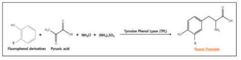 Fluoro-Tyrosine을 효소합성을 통해 생산하는 반응 스킴