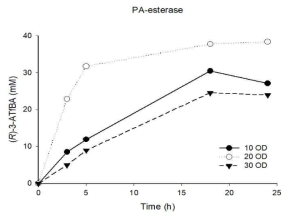 Pseudomonas avellanae 유래 리파아제를 이용한 베타-아미노산의 합성 반응조건: 50 mM substrate-ethyl ester, 100 mM (S)-α-MBA, 15% (v/v) DMSO, 200 mM Tris-HCl buffer (pH 7.0)
