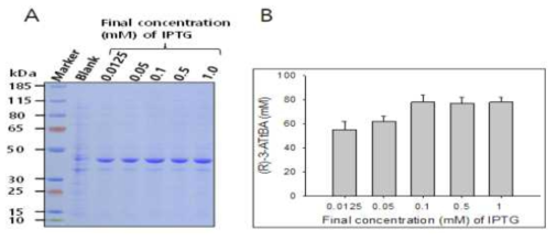 IPTG 농도별 ω-TAIC의 발현 및 반응 비교. 반응조건: 5 mL reaction, 70 OD600 ω-TAIC, 100 mM substrate-methyl ester, 200 mM (S)-α-MBA, 15% (v/v) DMSO, 200 mM Tris-HCl buffer (pH 7.0)