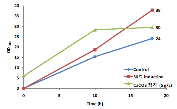 Induction 조건 변경 및 미네랄 첨가. 배양 조건: TB Medium, antifoam 0.1 g/L, 200 rpm, 37℃, induction point: OD600 0.6 ~ 1, induction temperature: 20 or 30℃, Flask scale