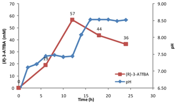 pH shift up 조건상 PS esterase를 이용한 베타-아미노산 생성 (12시간 기준). 반응조건: 3 L reaction, OD600 70 (ω-TAIC), OD600 30 (PS esterase), 100 mM substrate-ethyl ester, 150 mM (S)-α-MBA, 200 mM Tris-HCl buffer (pH 7.0), 15% (v/v) DMSO, reaction time: 24 hrs