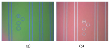 Photolithography 공정(Stripe 패턴 형성) (a) stripe 폭 형성을 위해 패턴 형성-blue line이 SiO2가 노출됨, (b) SiO2 식각 후 사진-white line이 SiO2 에칭 후 패턴