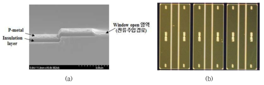 (a) Metal 증착 후 SEM 단면 사진, (b) p-전극 증착 후 top view