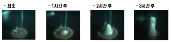 고정형 카메라를 이용하여 시간별 증착 형상 관찰