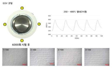 GSV 코팅 열내구 시험 결과