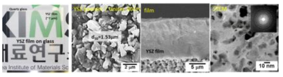 GSV 공정으로 제조한 YSZ 코팅막 및 원료분말, 코팅막의 단면 미세구조, STEM/DF 관찰 결과