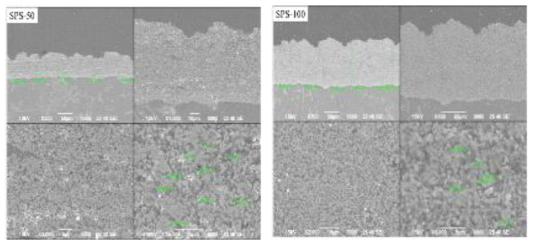SPS-50, SPS-100의 단면 미세구조