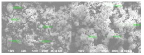 CaO as received SEM Image