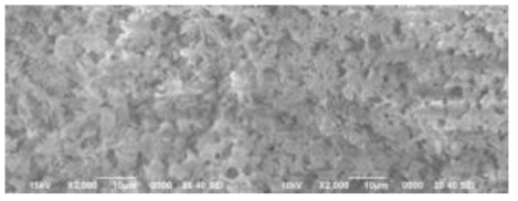 D.I. water 용매에서 건조된 CaO after 6hrs Planetary mill SEM Image