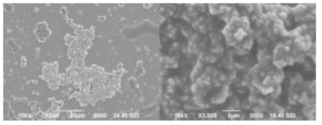 무수알코올 용매에서 건조된 CaO after 6hrs Planetary mill SEM Image