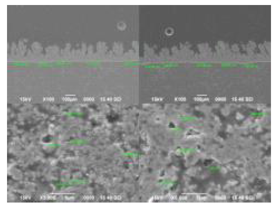 SEM Image of YSC-1 coating