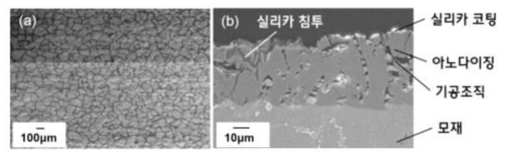 코팅층 조직분석 (a) 표면, (b) 단면